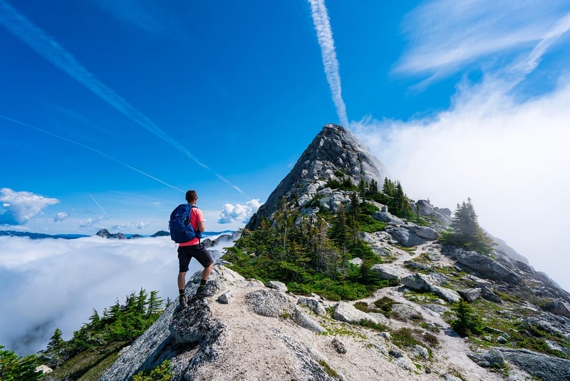 Hiking in the wilderness